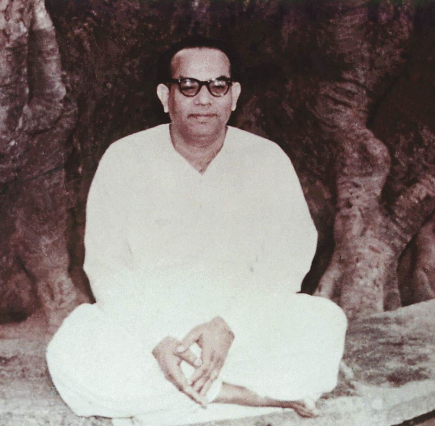 Шри Шри Анандамурти